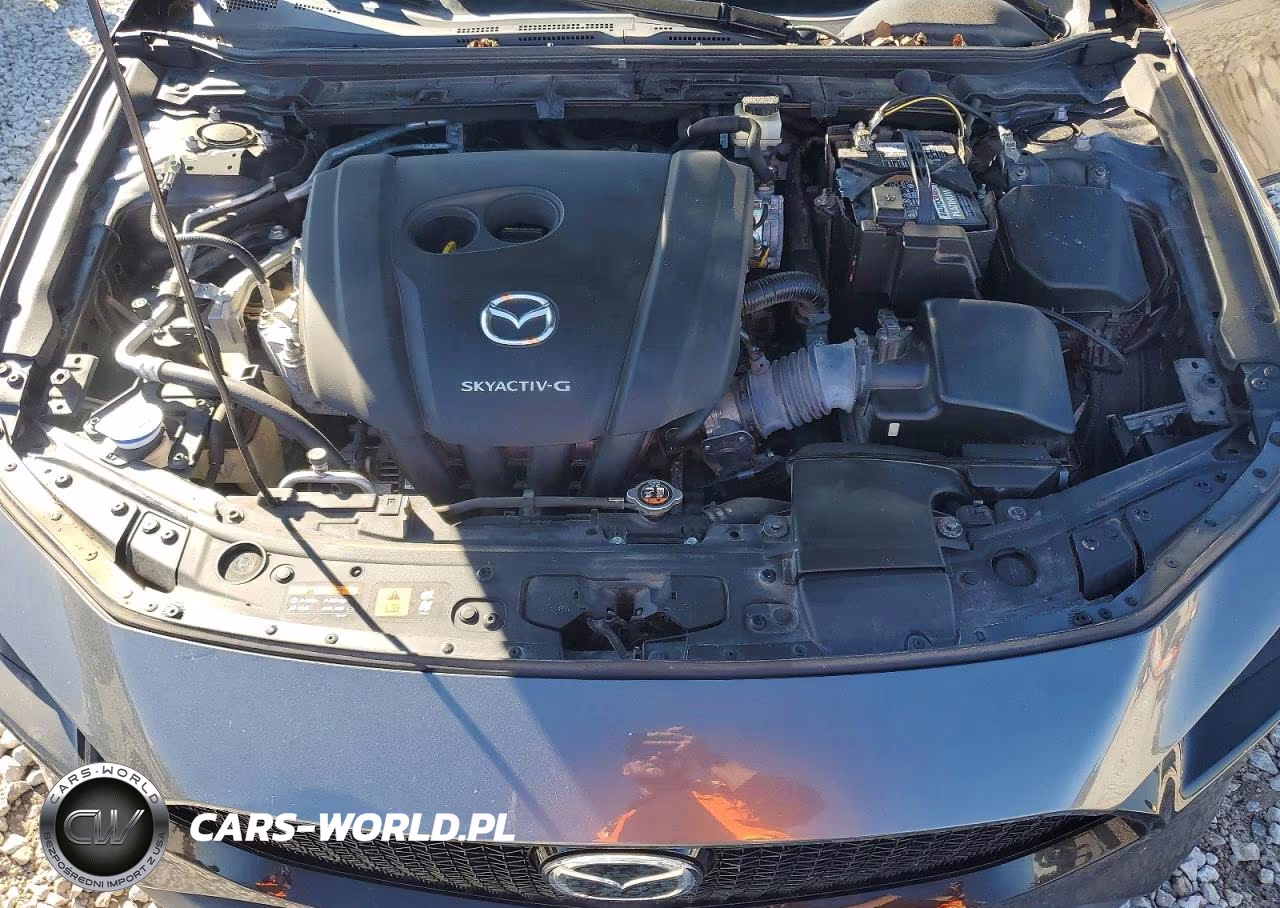 2019 Mazda 3 VIN:JM1BPBJM8K1143437 - 11
