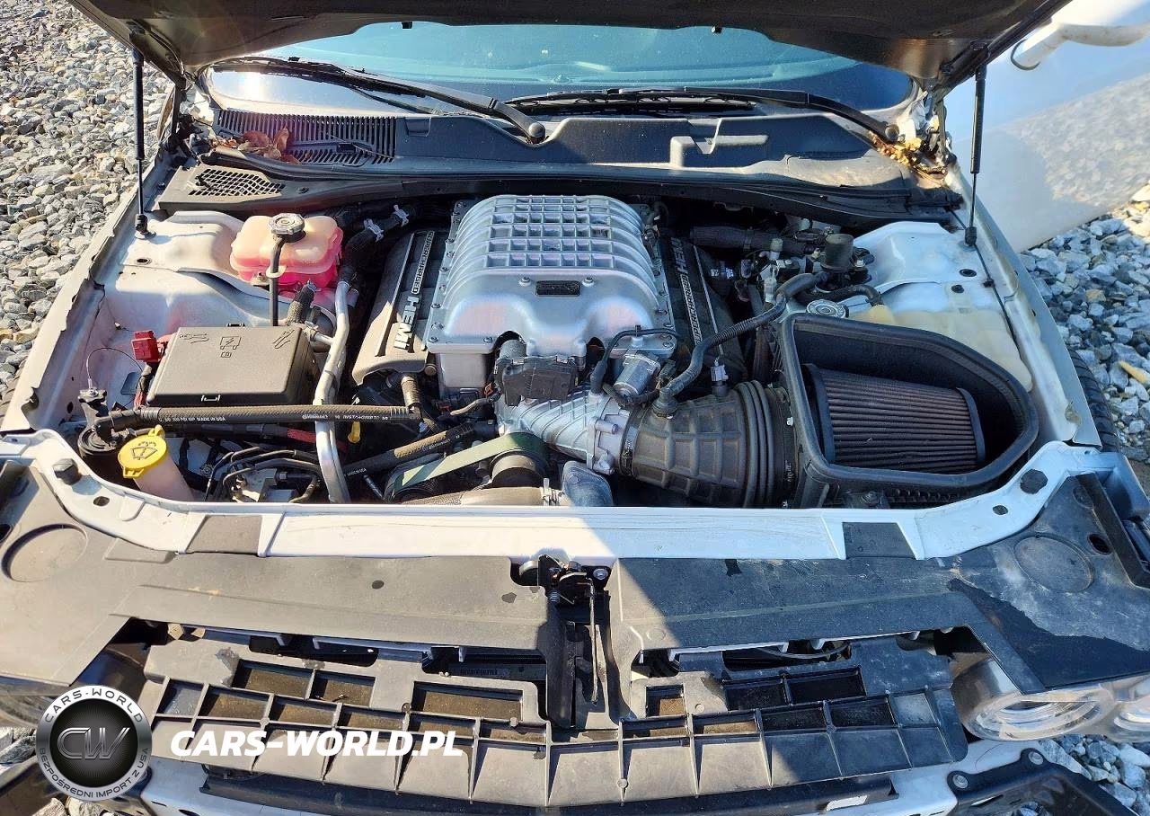 2019 Dodge Challenger Srt Hellcat Redeye VIN:2C3CDZL99KH570601 - 11