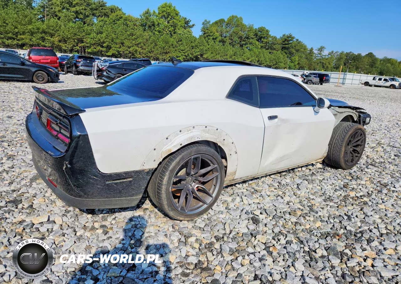 2019 Dodge Challenger Srt Hellcat Redeye VIN:2C3CDZL99KH570601 - 3