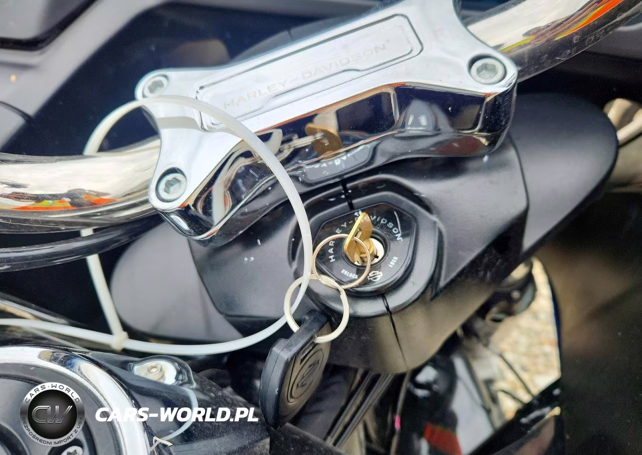 2024 Harley-Davidson Fltrx VIN:1HD1KH713RB611815 - 8
