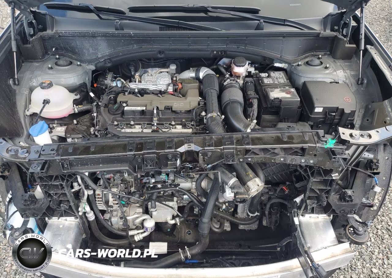 2025 Hyundai Santa Fe Xrt VIN:5NMP3DGL6SH123785 - 12