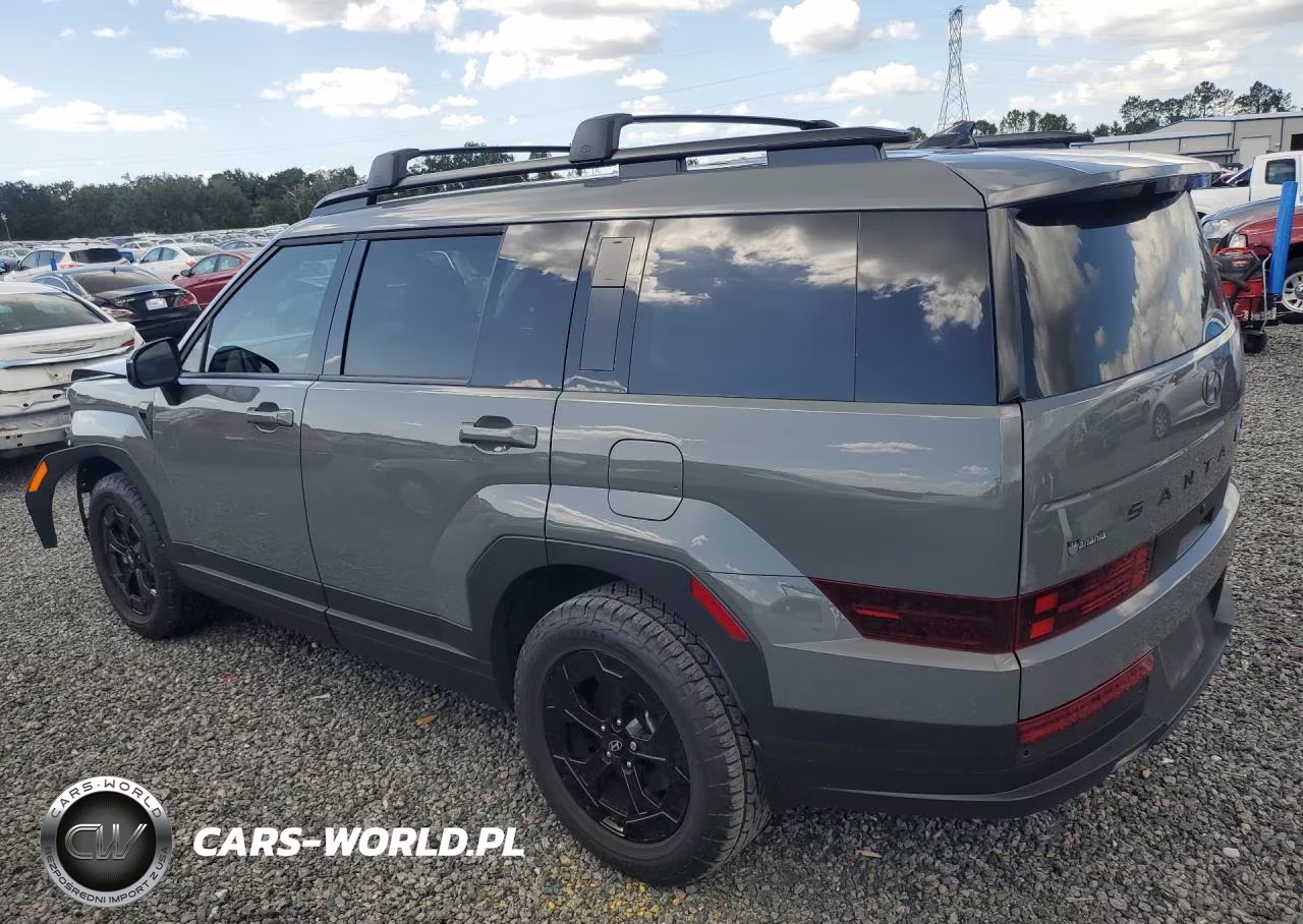 2025 Hyundai Santa Fe Xrt VIN:5NMP3DGL6SH123785 - 2