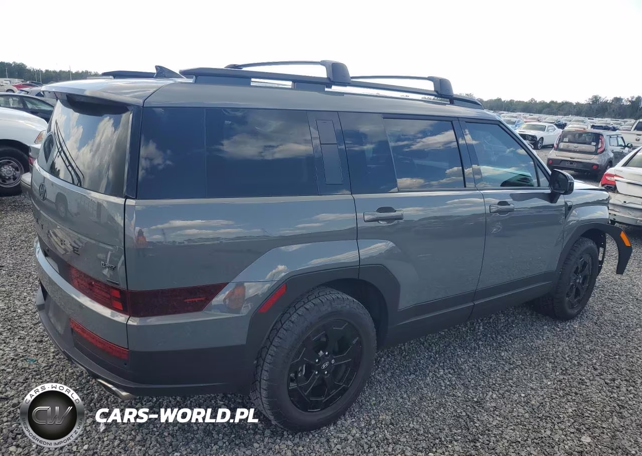 2025 Hyundai Santa Fe Xrt VIN:5NMP3DGL6SH123785 - 3