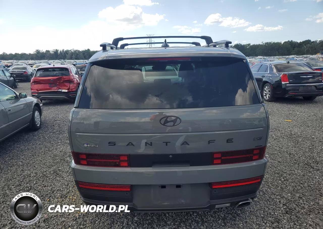 2025 Hyundai Santa Fe Xrt VIN:5NMP3DGL6SH123785 - 6