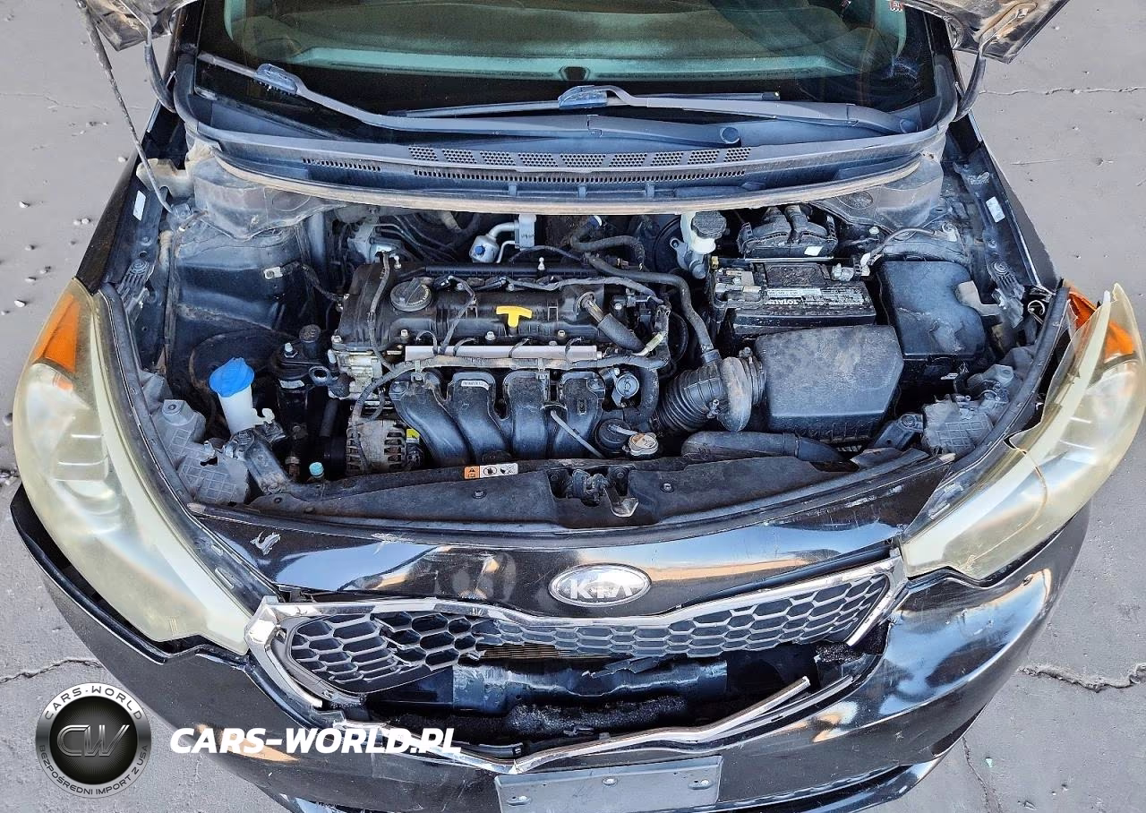 2014 Kia Forte Lx VIN:KNAFK4A60E5122217 - 11