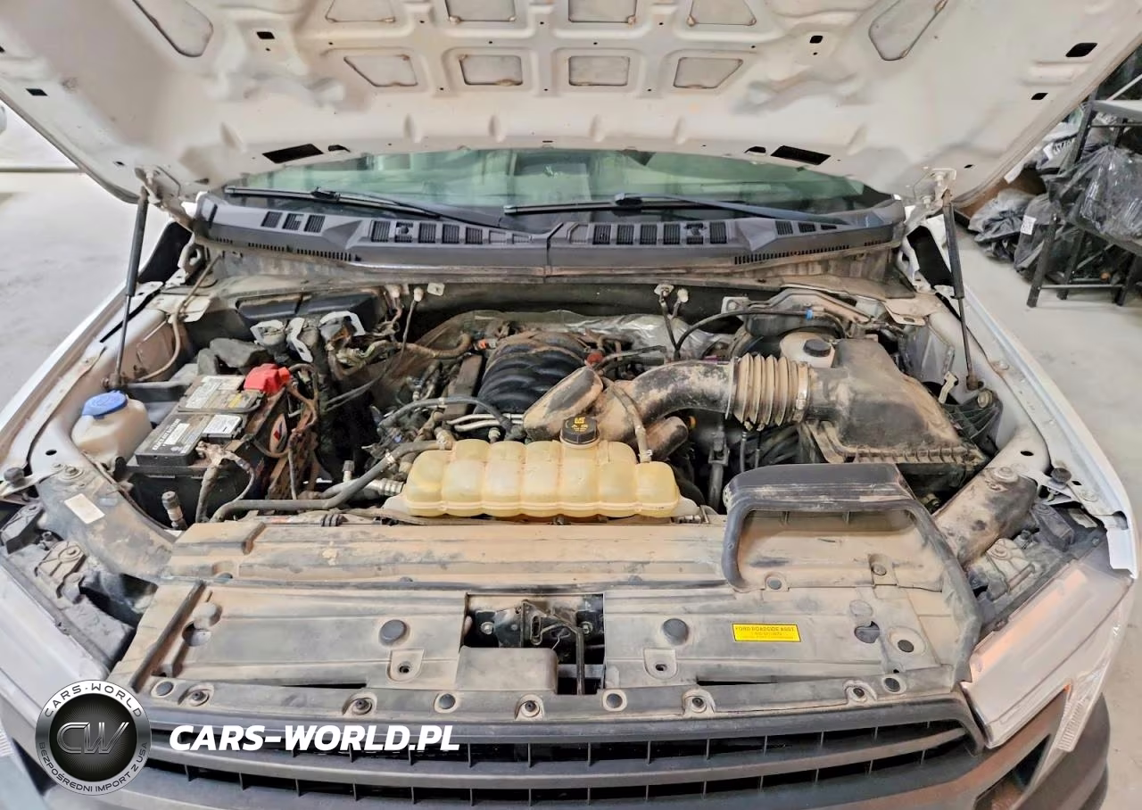 2019 Ford F150 Supercrew VIN:1FTFW1E5XKFB04420 - 11