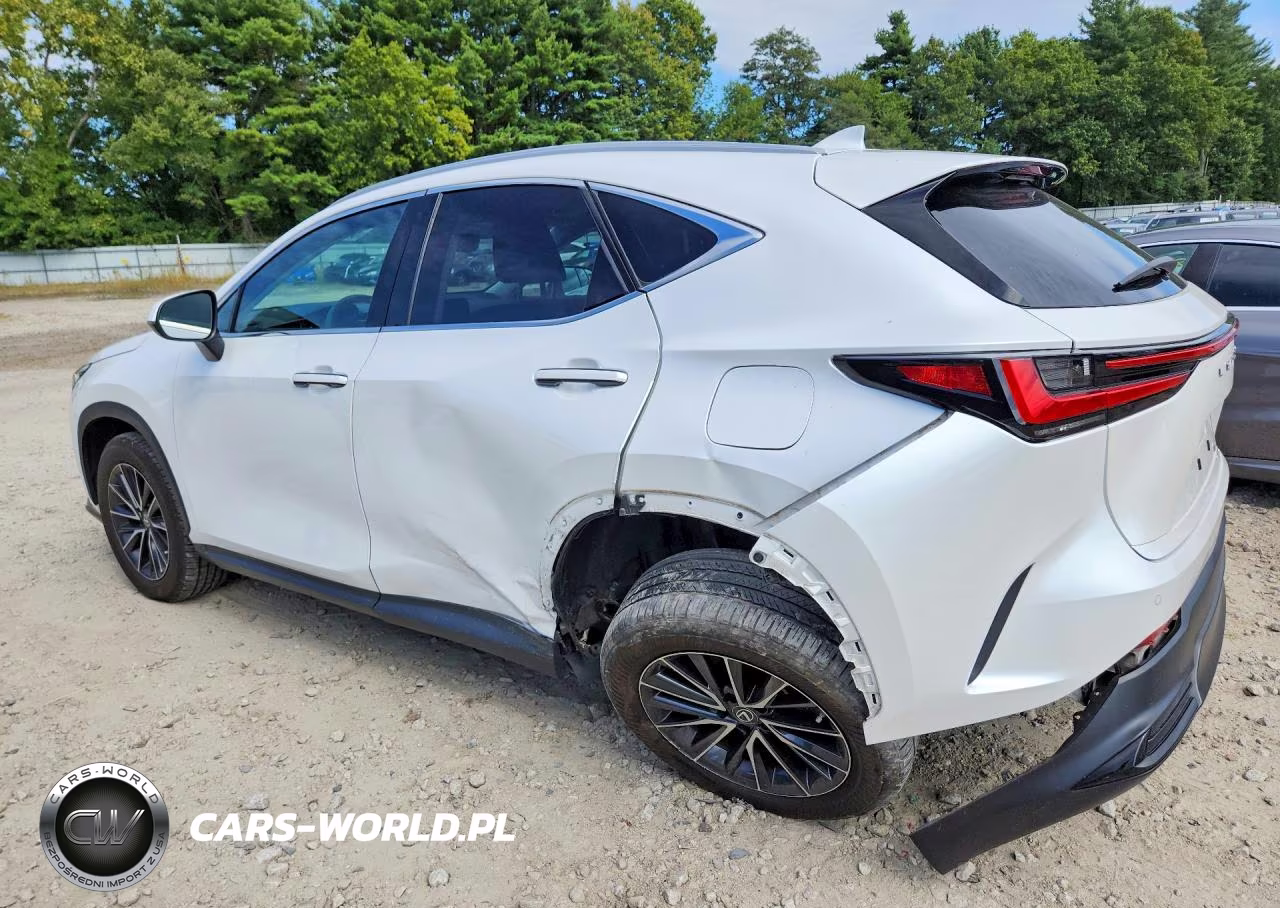 2022 Lexus Nx 350 VIN:2T2GGCEZ4NC008629 - 2