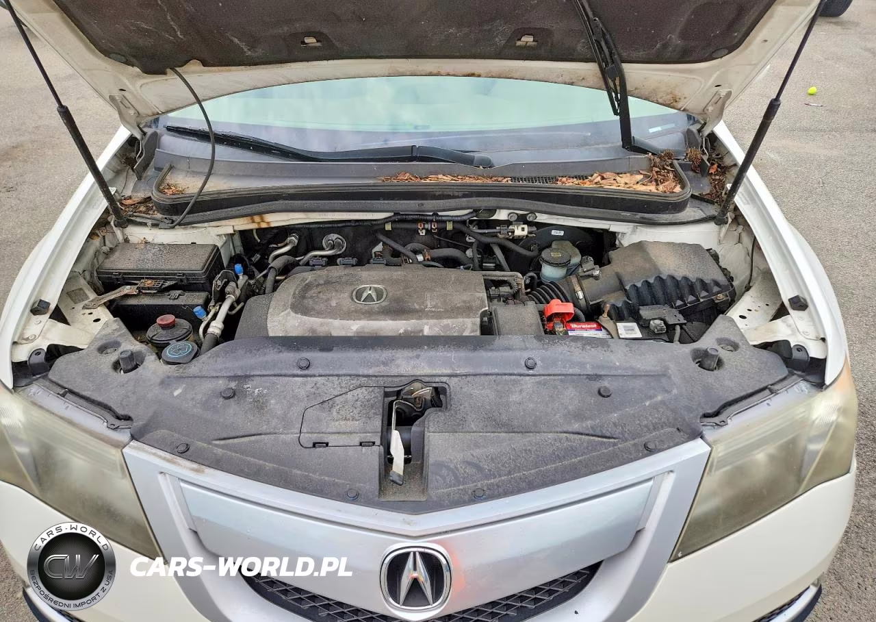 2010 Acura Mdx Technology VIN:2HNYD2H61AH527421 - 12