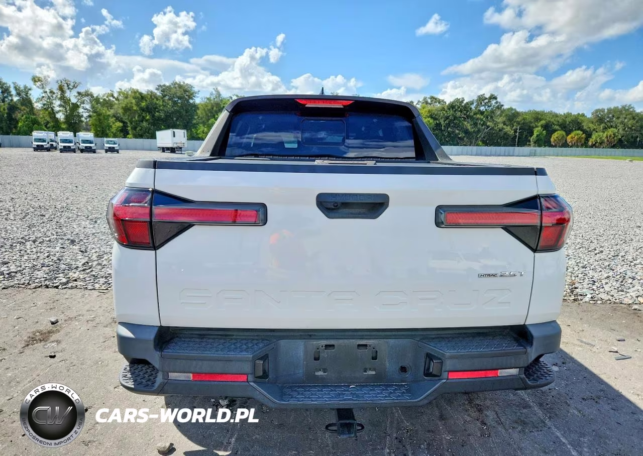2022 Hyundai Santa Cruz Sel Premium VIN:5NTJDDAF5NH011378 - 6