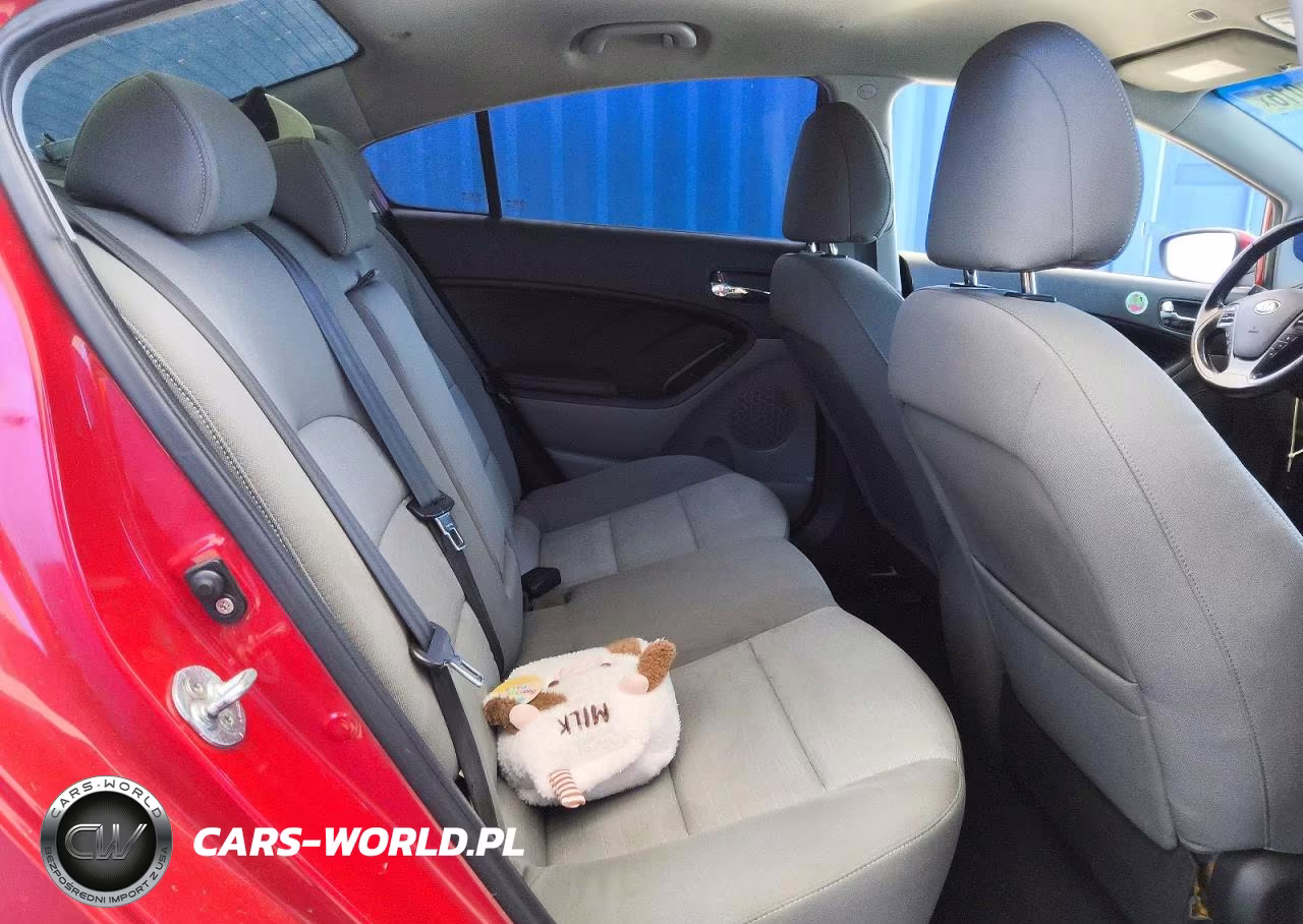 2014 Kia Forte Ex VIN:KNAFX4A82E5084606 - 10