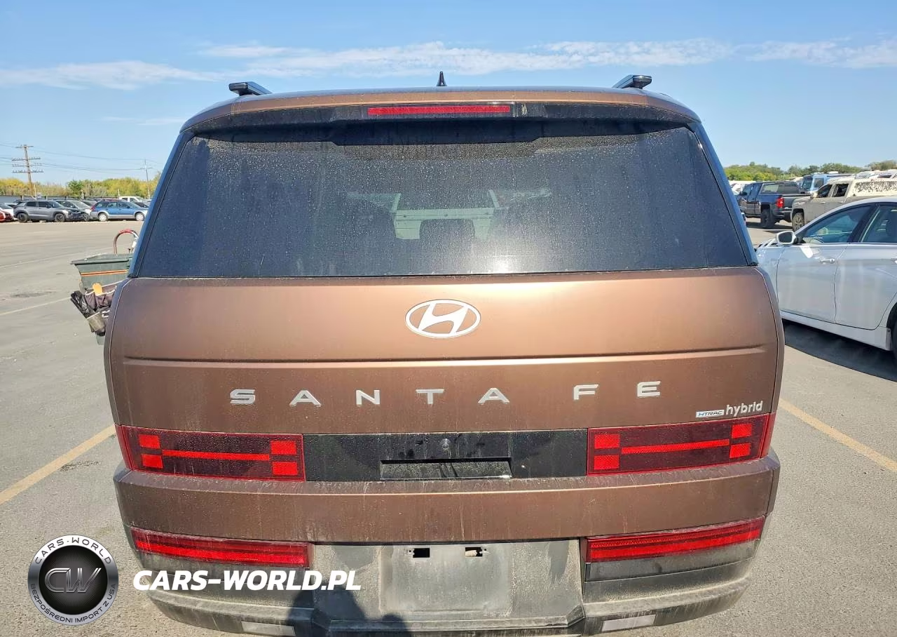 2024 Hyundai Santa Fe Limited VIN:5NMP3DG13RH010269 - 6