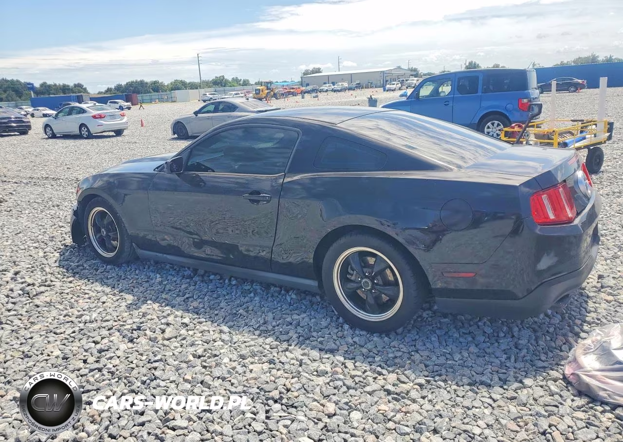 2011 Ford Mustang VIN:1ZVBP8AM2B5164535 - 2