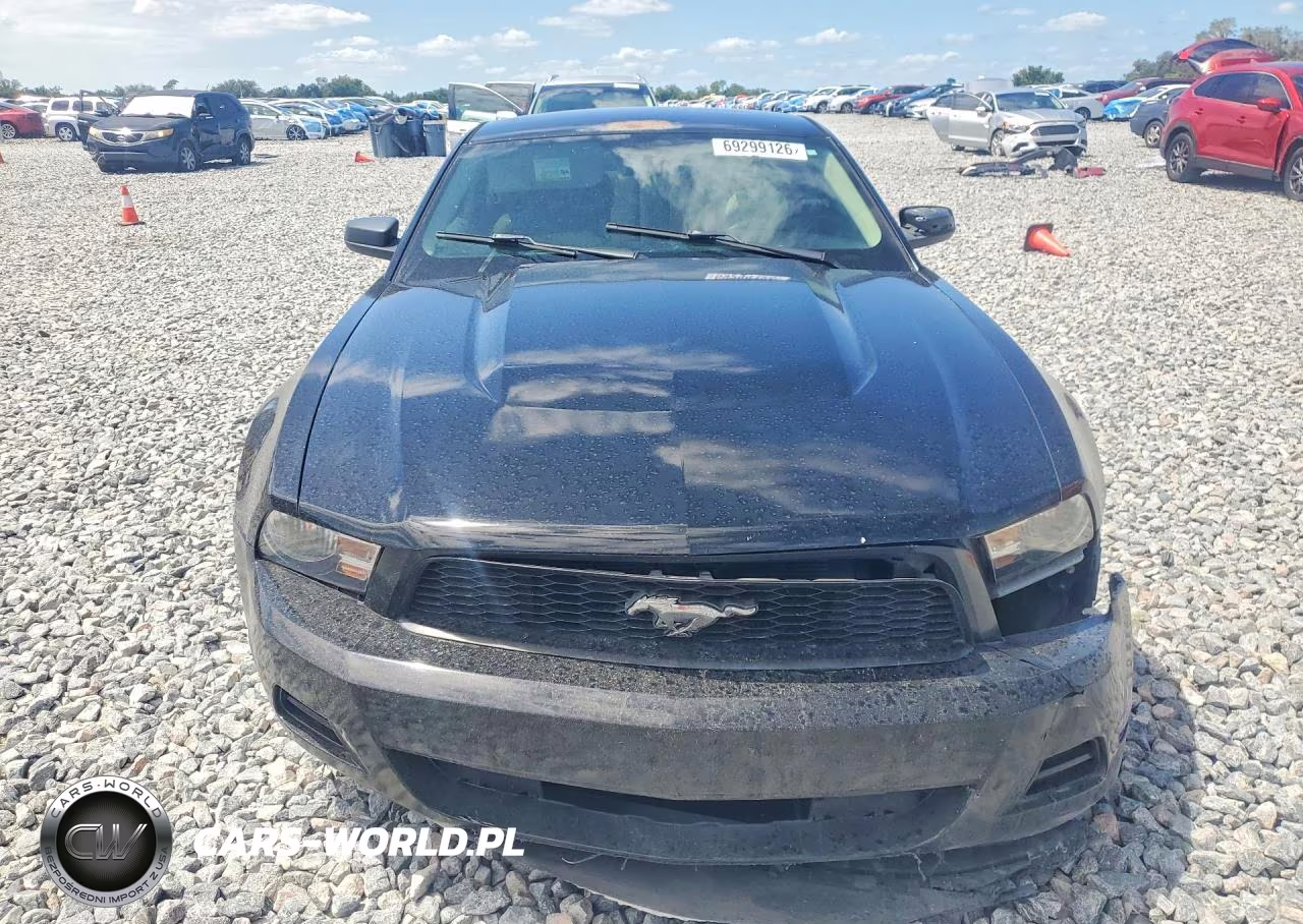 2011 Ford Mustang VIN:1ZVBP8AM2B5164535 - 5