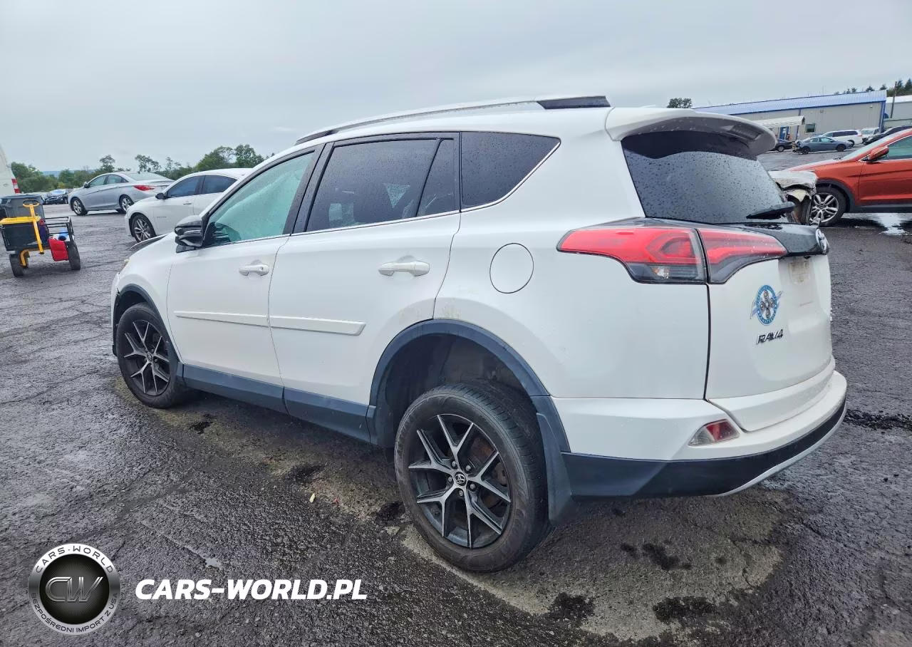 2016 Toyota Rav4 Se VIN:2T3JFREV8GW414144 - 2