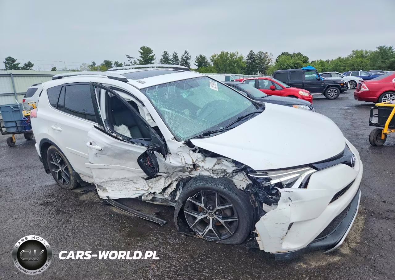 2016 Toyota Rav4 Se VIN:2T3JFREV8GW414144 - 4