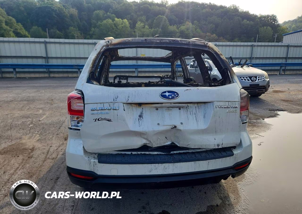 2017 Subaru Forester 2.5I Premium VIN:JF2SJAEC8HH505331 - 6