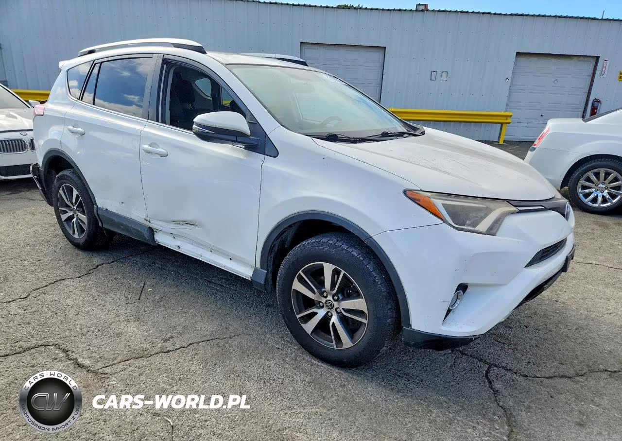 2016 Toyota Rav4 Xle VIN:2T3WFREV3GW263235 - 4