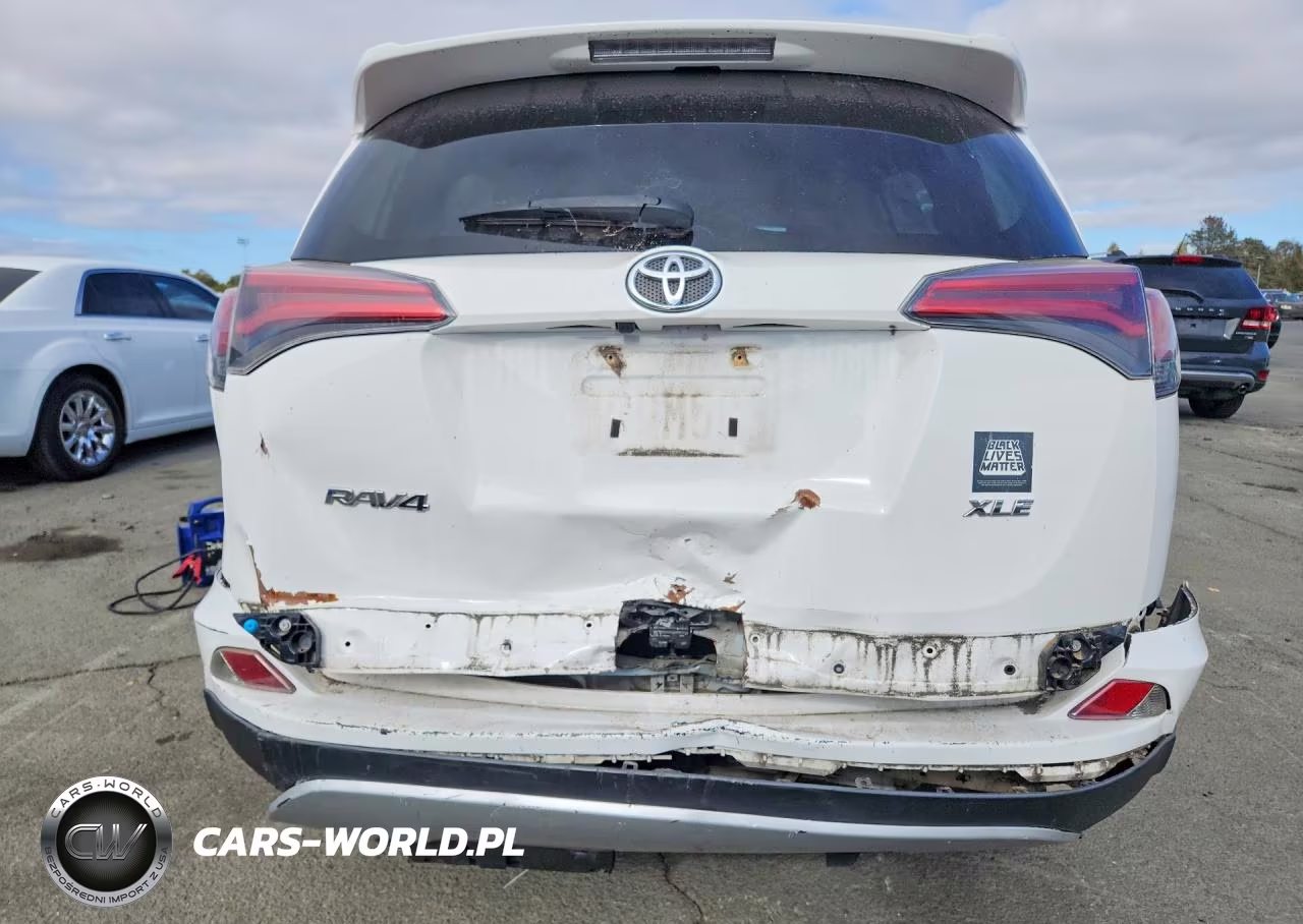2016 Toyota Rav4 Xle VIN:2T3WFREV3GW263235 - 6