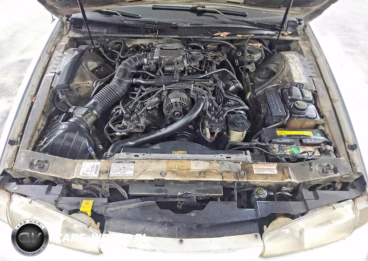 1997 Ford Thunderbird Lx VIN:1FALP62W8VH141118 - 11