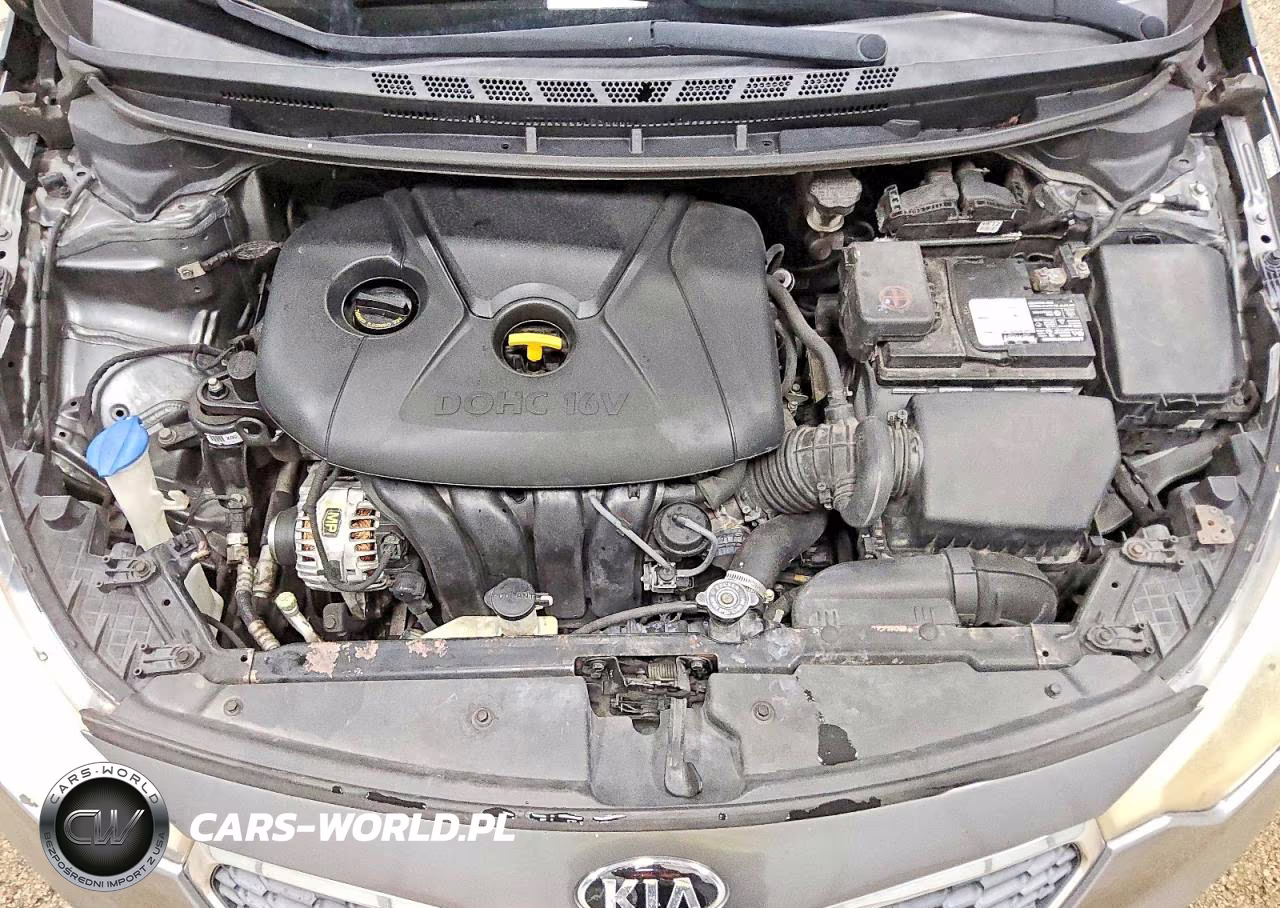 2016 Kia Forte Lx VIN:KNAFX4A60G5581316 - 11