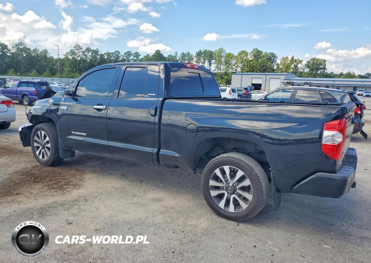 2018 Toyota Tundra Double Cab Limited VIN:5TFSY5F11JX230556 - 2