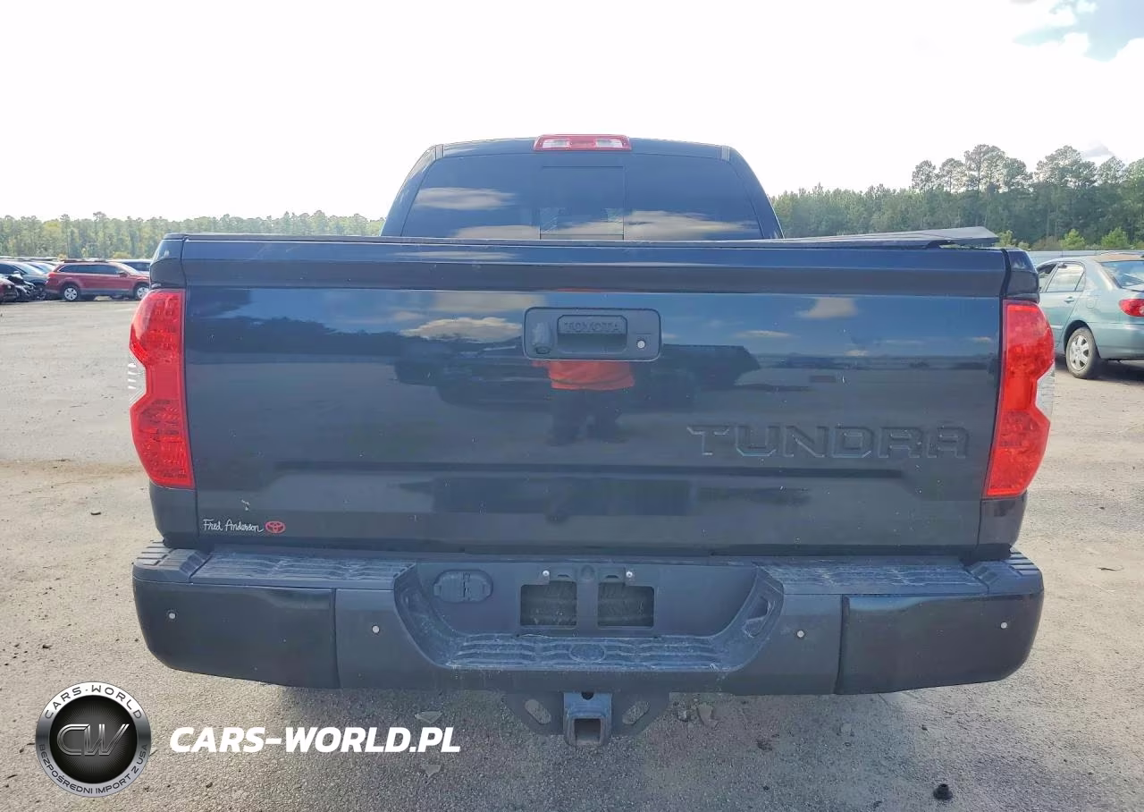 2018 Toyota Tundra Double Cab Limited VIN:5TFSY5F11JX230556 - 6