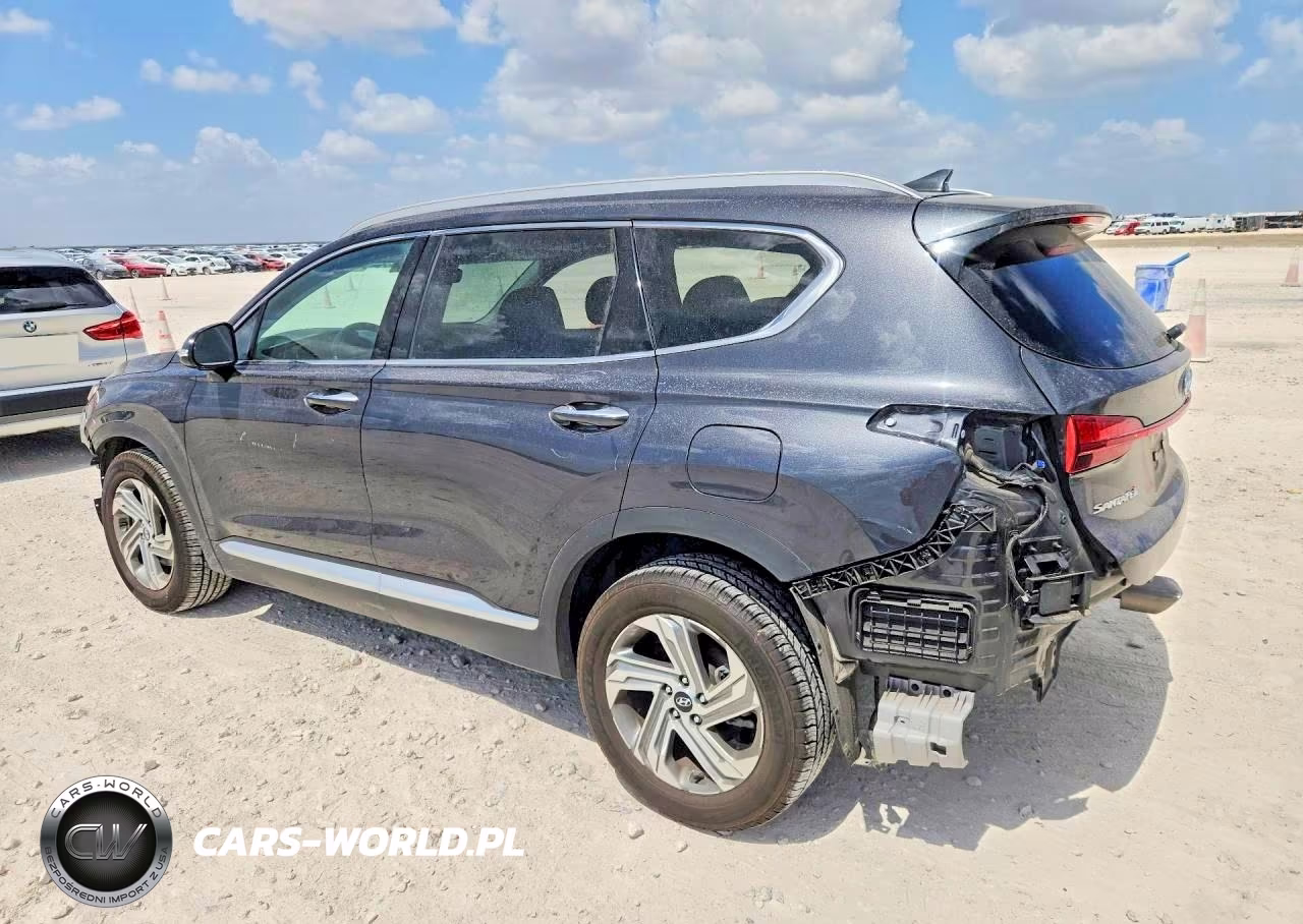 2021 Hyundai Santa Fe Sel VIN:5NMS34AJ6MH340564 - 2
