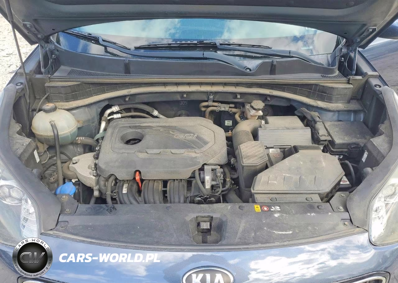 2018 Kia Sportage Lx VIN:KNDPMCAC2J7310690 - 12