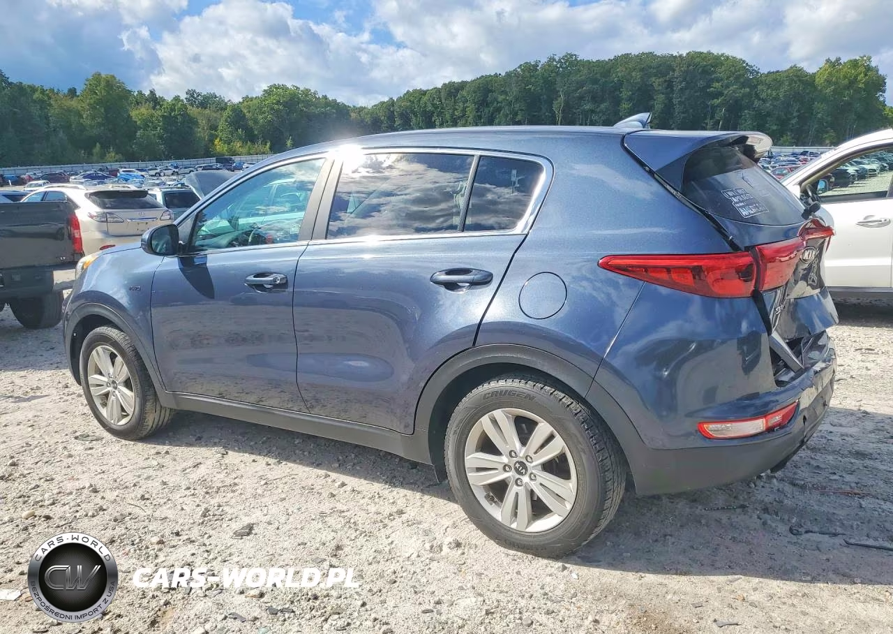 2018 Kia Sportage Lx VIN:KNDPMCAC2J7310690 - 2