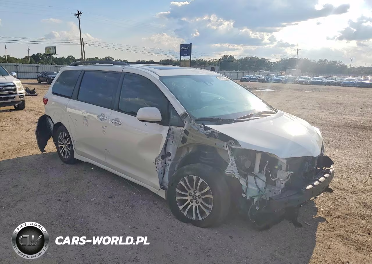 2019 Toyota Sienna Xle Premium 8-Passenger VIN:5TDYZ3DC3KS986011 - 4