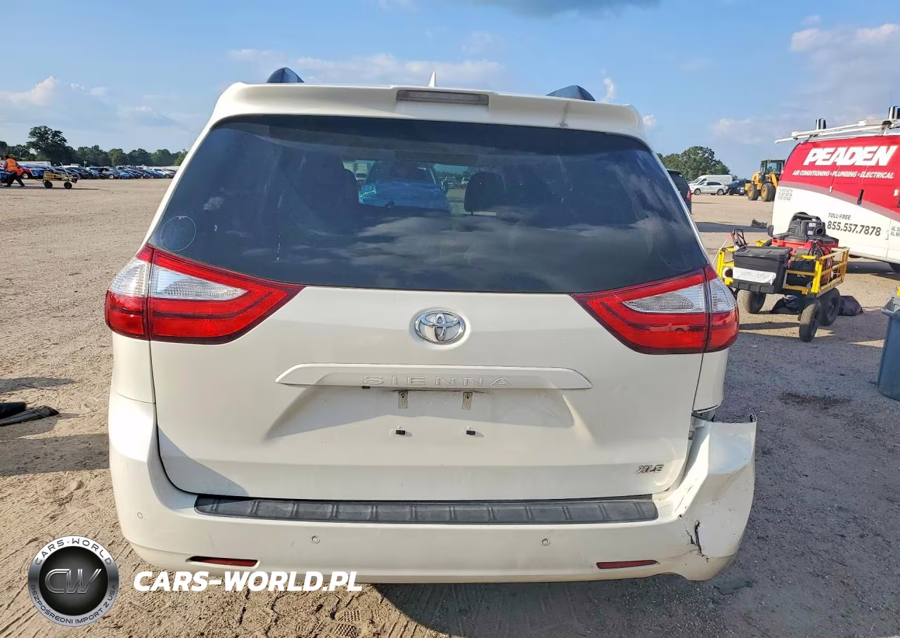 2019 Toyota Sienna Xle Premium 8-Passenger VIN:5TDYZ3DC3KS986011 - 6