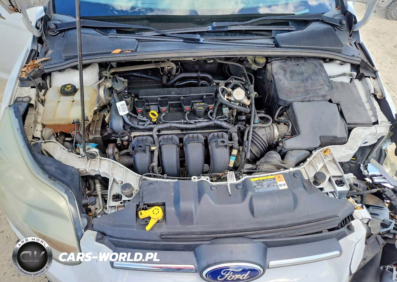 2014 Ford Focus Se VIN:1FADP3K29EL221525 - 11