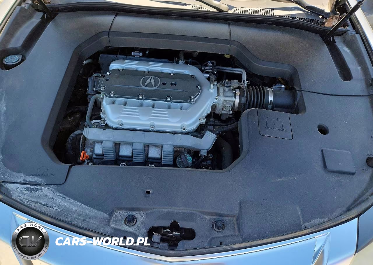 2009 Acura Tl VIN:19UUA86269A001054 - 11