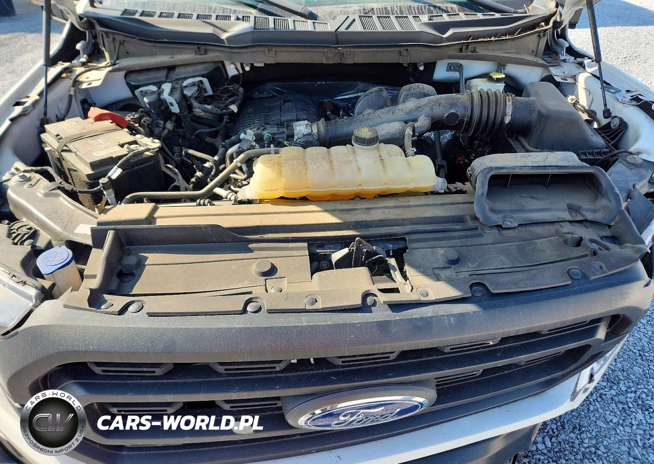 2023 Ford F150 VIN:1FTMF1CB6PKE19231 - 11