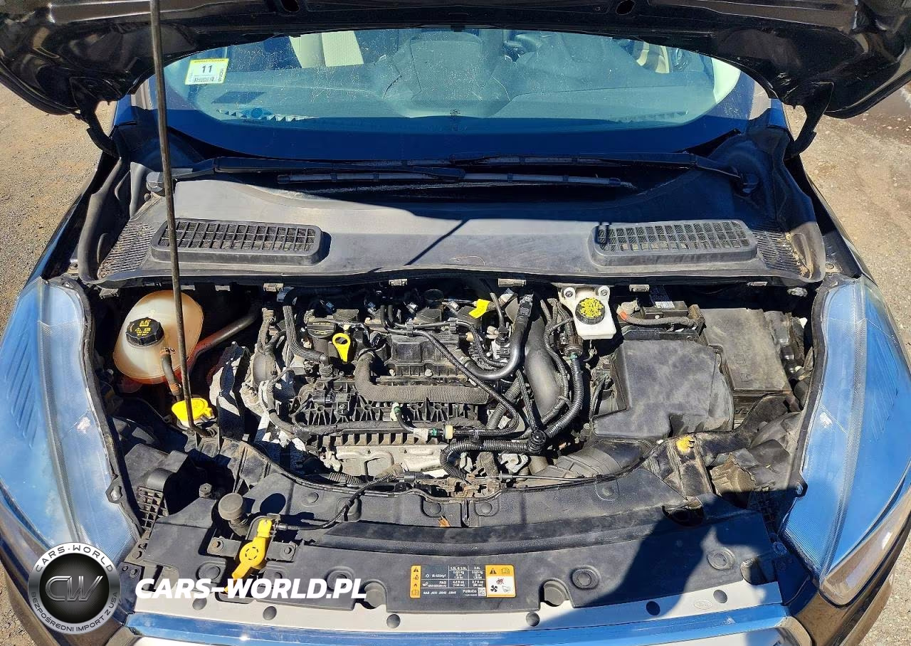 2019 Ford Escape Se VIN:1FMCU9GDXKUA28071 - 12