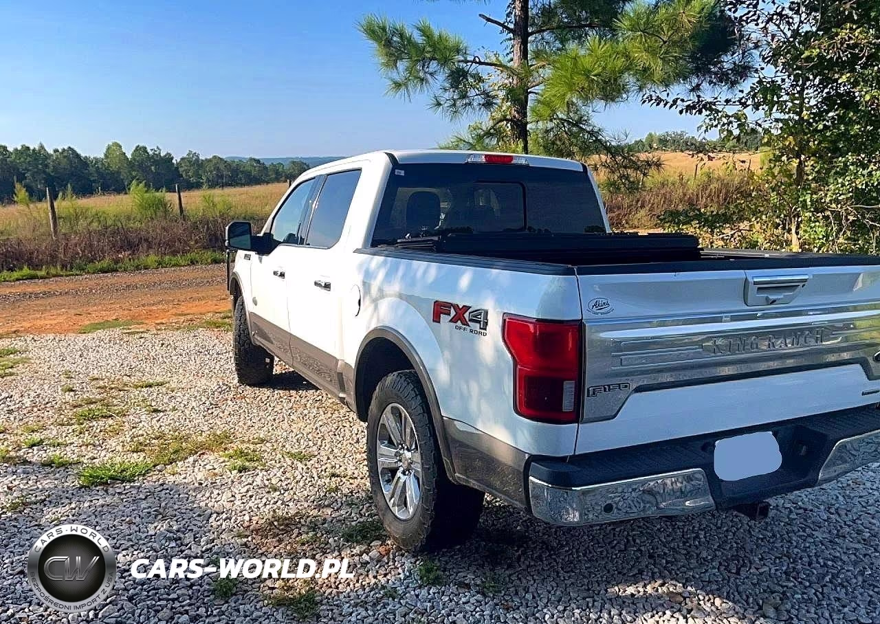 2020 Ford F150 Supercrew VIN:1FTEW1E46LFA33205 - 3