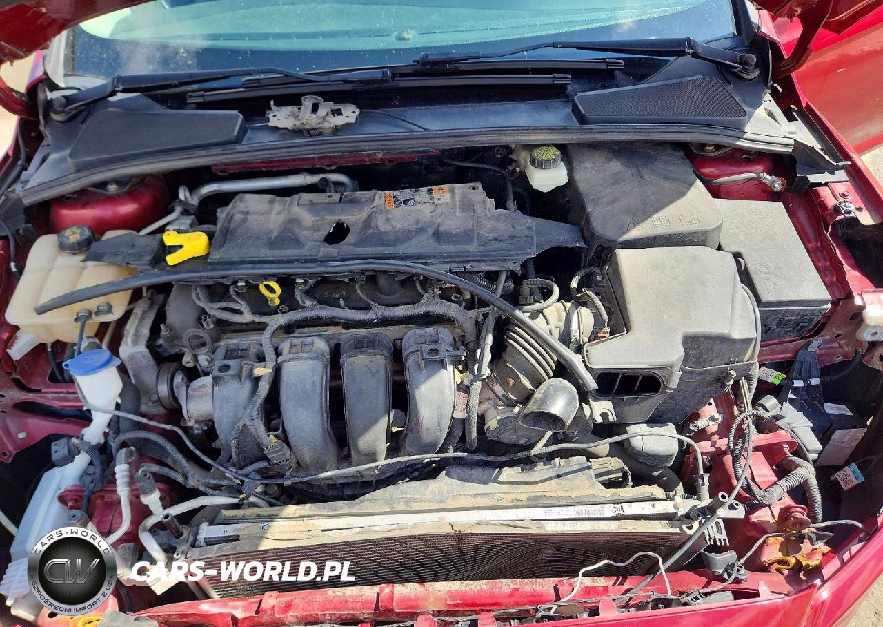 2017 Ford Focus Sel VIN:1FADP3H21HL228870 - 11