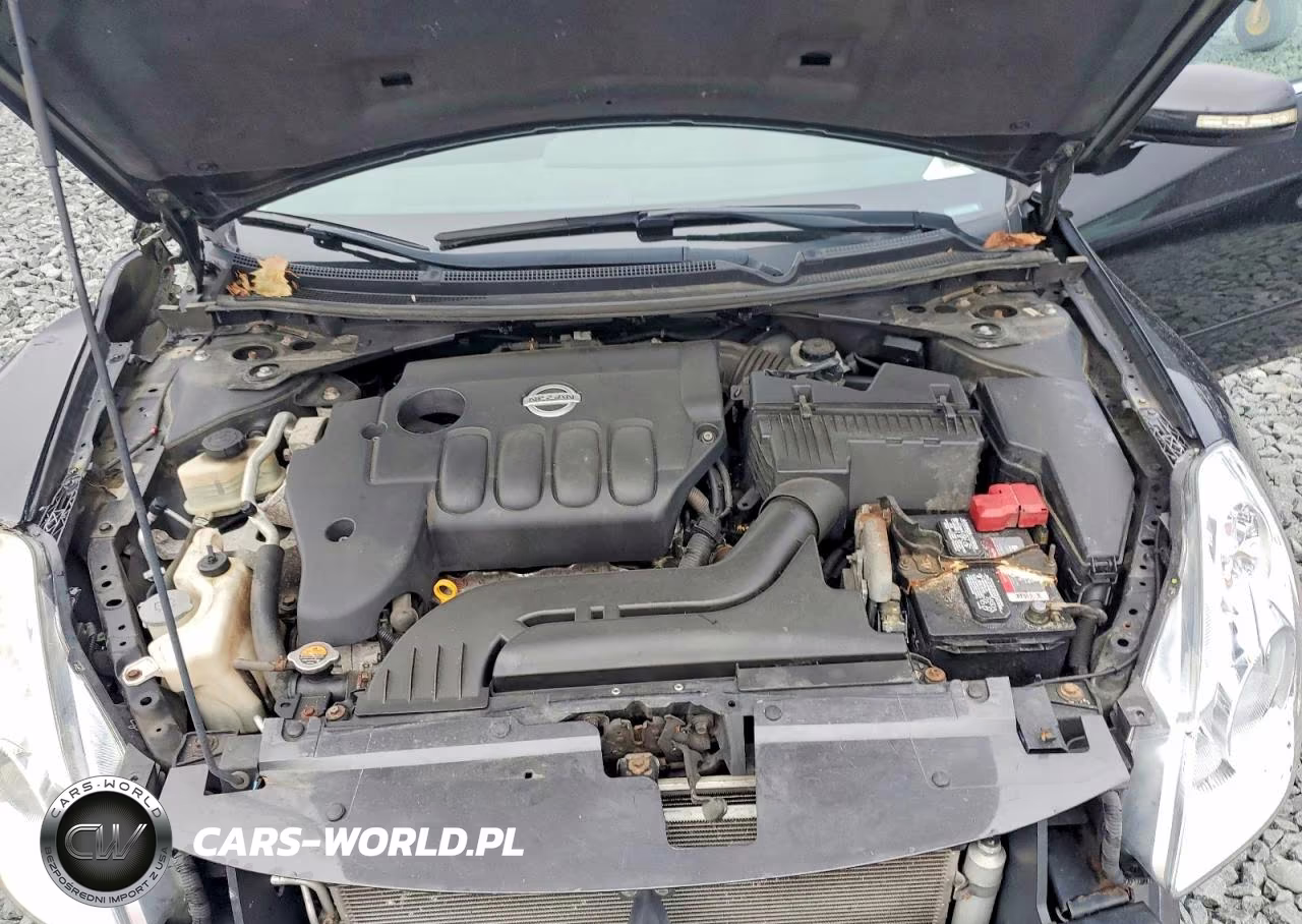 2010 Nissan Altima 2.5 VIN:1N4AL2AP9AN409532 - 11