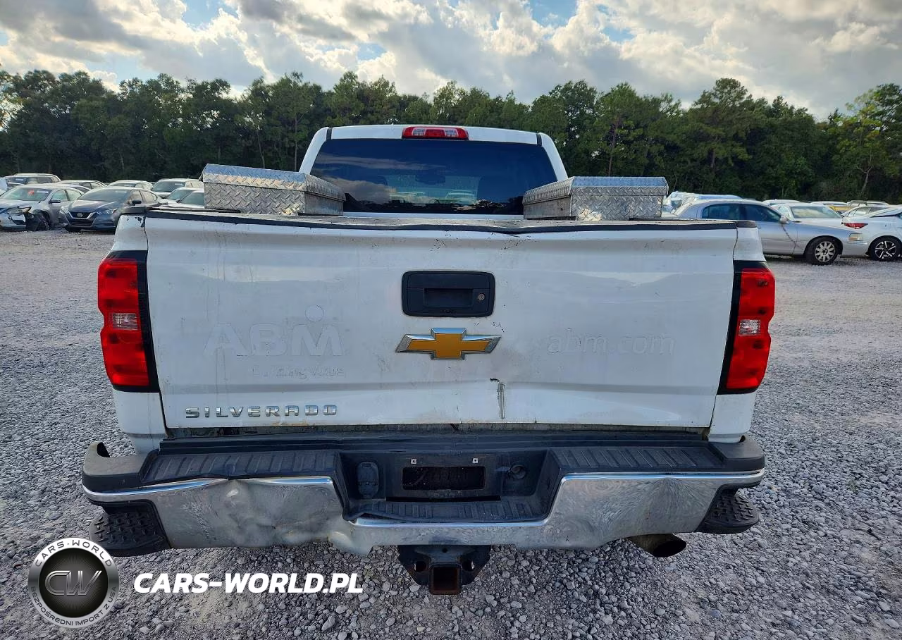 2017 Chevrolet Silverado C2500 Heavy Duty VIN:1GC2CUEG0HZ402993 - 6