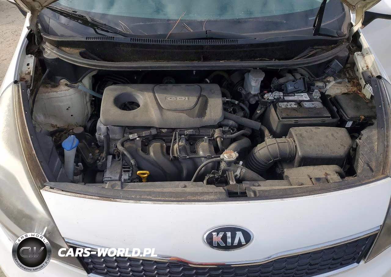 2016 Kia Uk VIN:KNADN4A3XG6569204 - 11