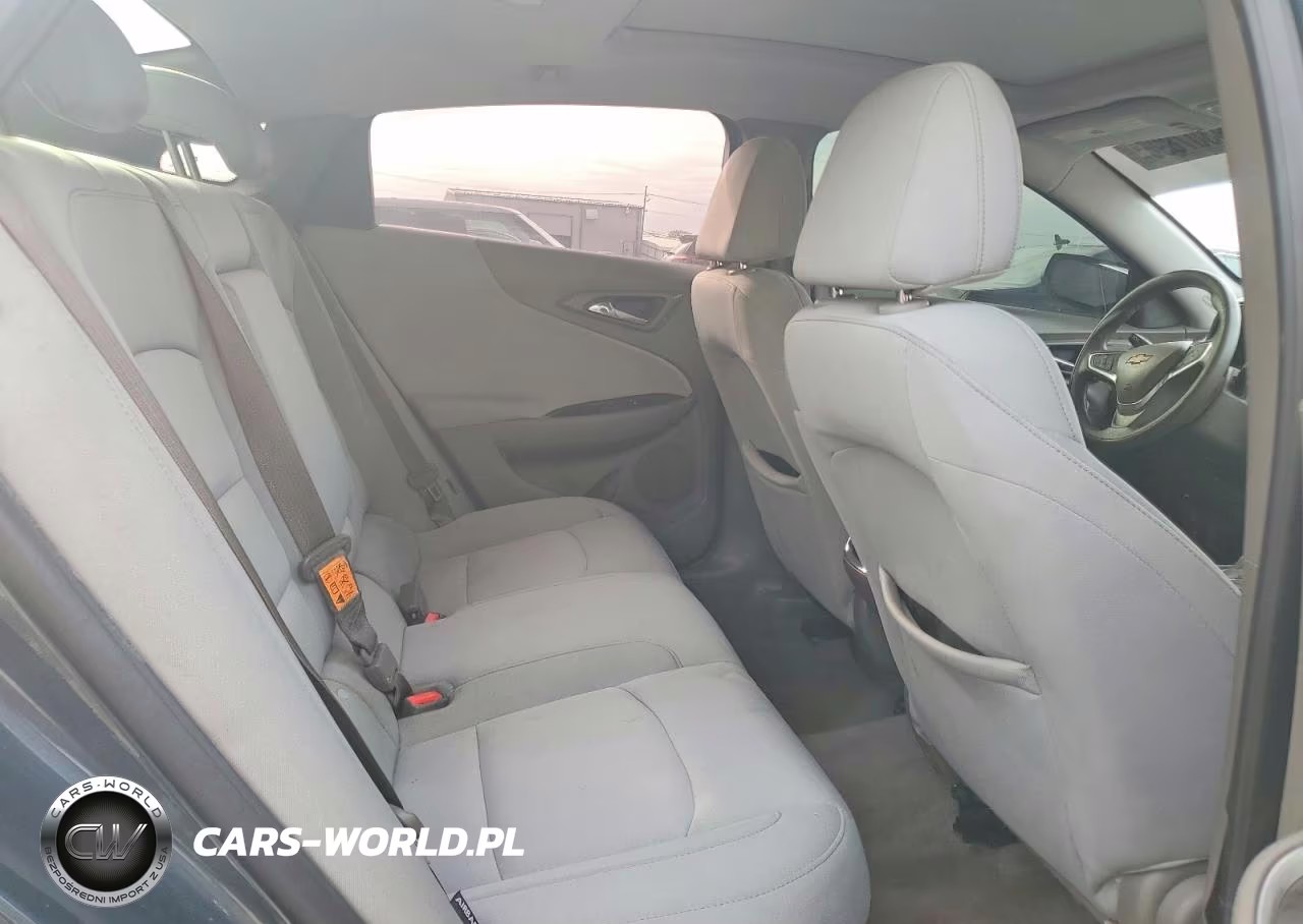 2019 Chevrolet Malibu Lt VIN:1G1ZD5ST6KF173207 - 10