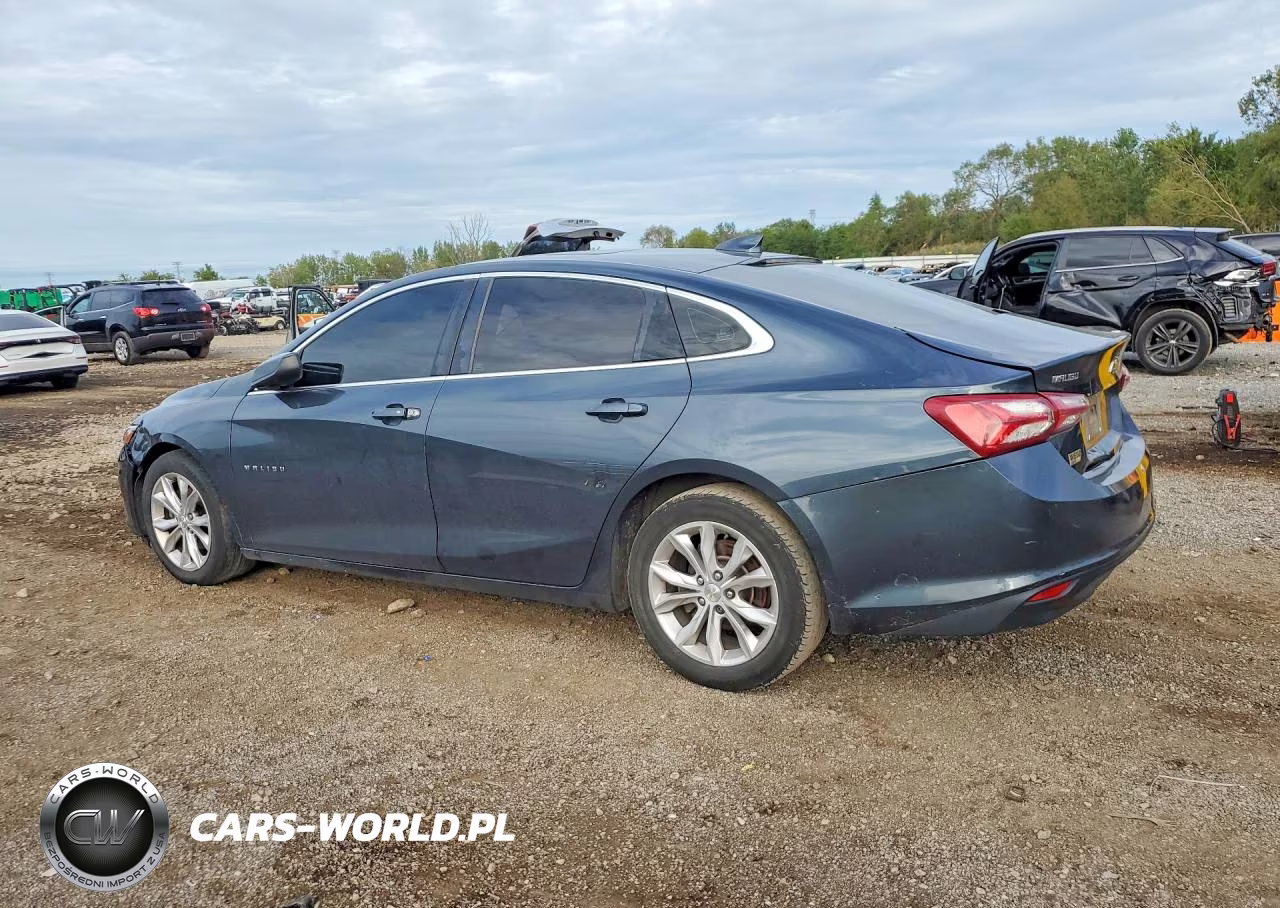 2019 Chevrolet Malibu Lt VIN:1G1ZD5ST6KF173207 - 2