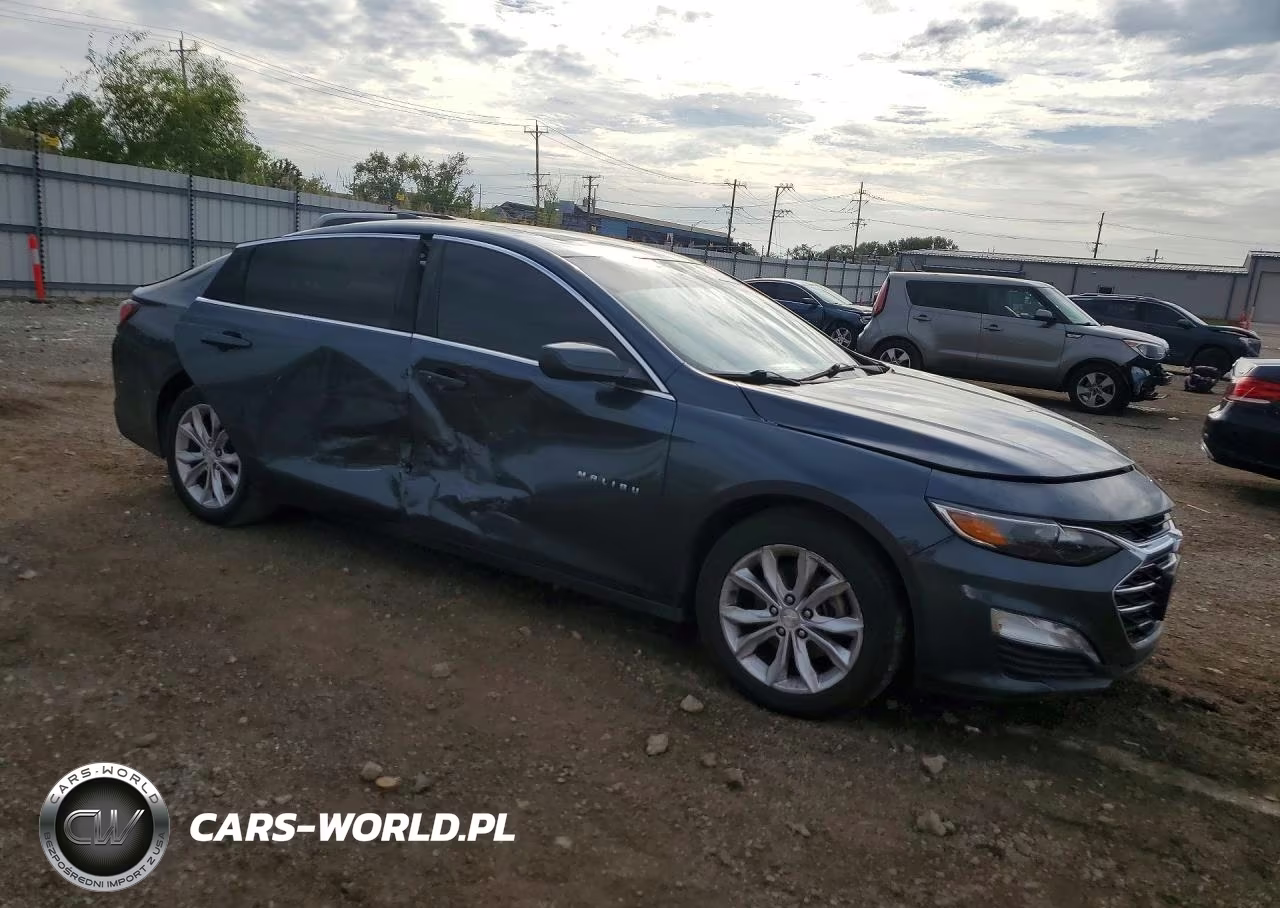 2019 Chevrolet Malibu Lt VIN:1G1ZD5ST6KF173207 - 4