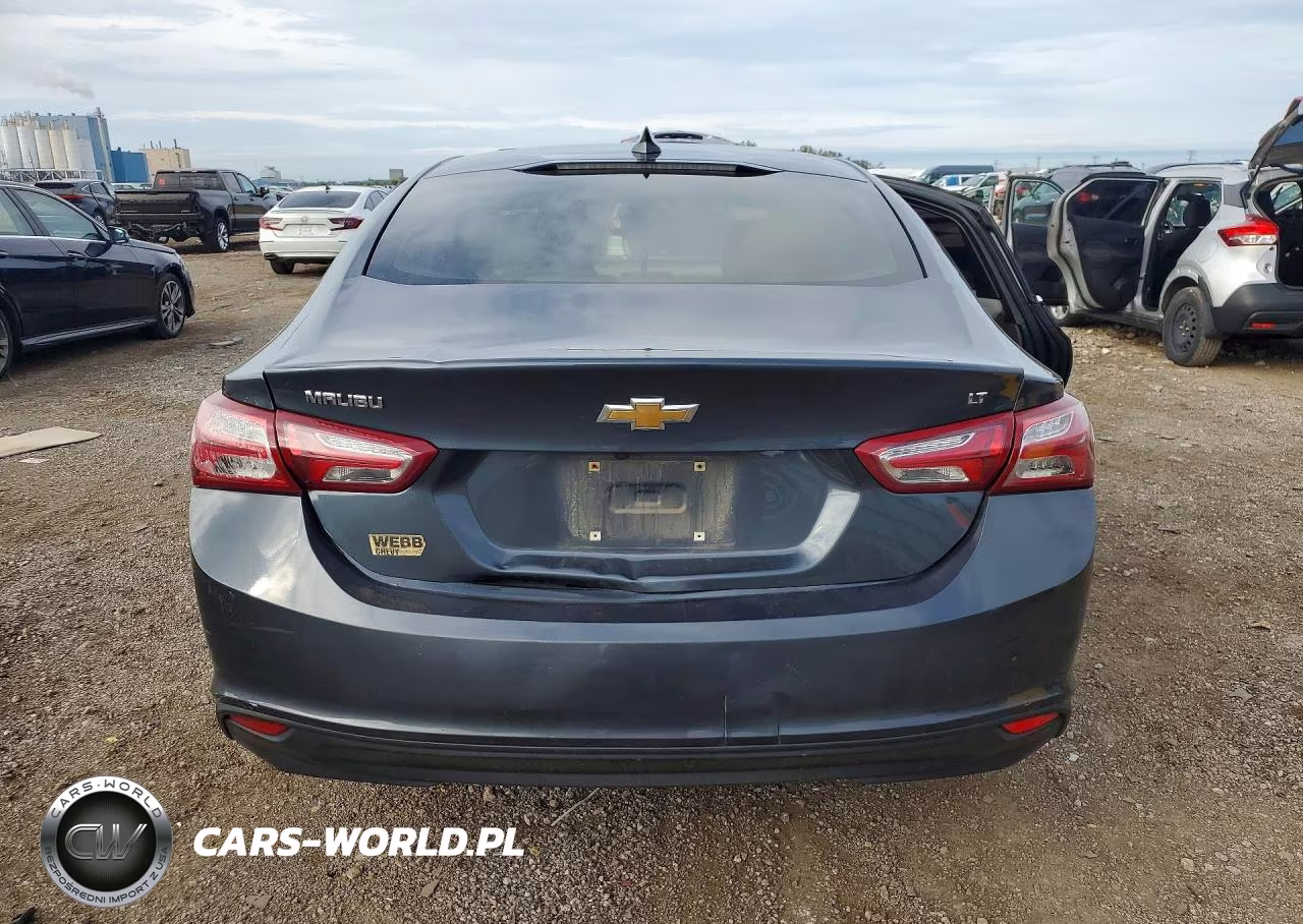 2019 Chevrolet Malibu Lt VIN:1G1ZD5ST6KF173207 - 6