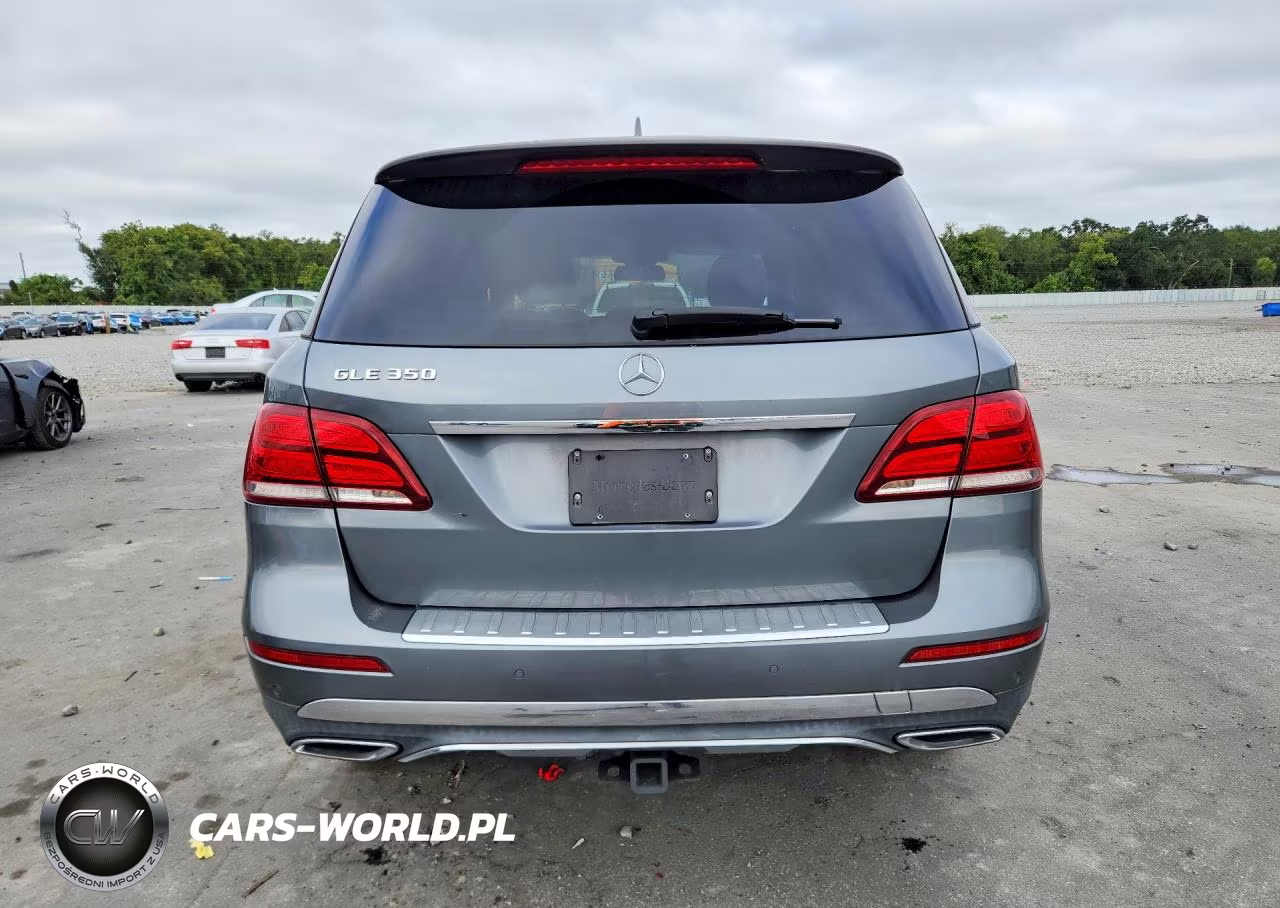 2017 Mercedes-Benz Gle 350 VIN:4JGDA5JBXHA989146 - 6