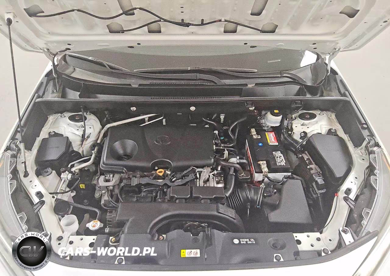 2019 Toyota Rav4 Xle VIN:2T3W1RFVXKC004913 - 12