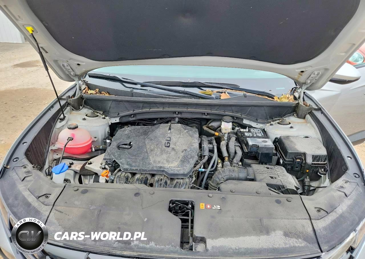 2024 Hyundai Tucson Sel VIN:5NMJBCDE9RH374657 - 12