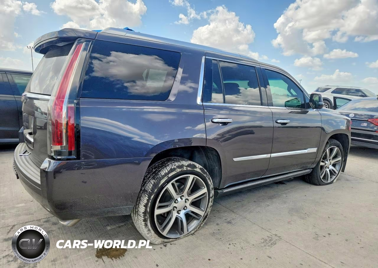 2016 Cadillac Escalade Premium VIN:1GYS4CKJ8GR104952 - 3