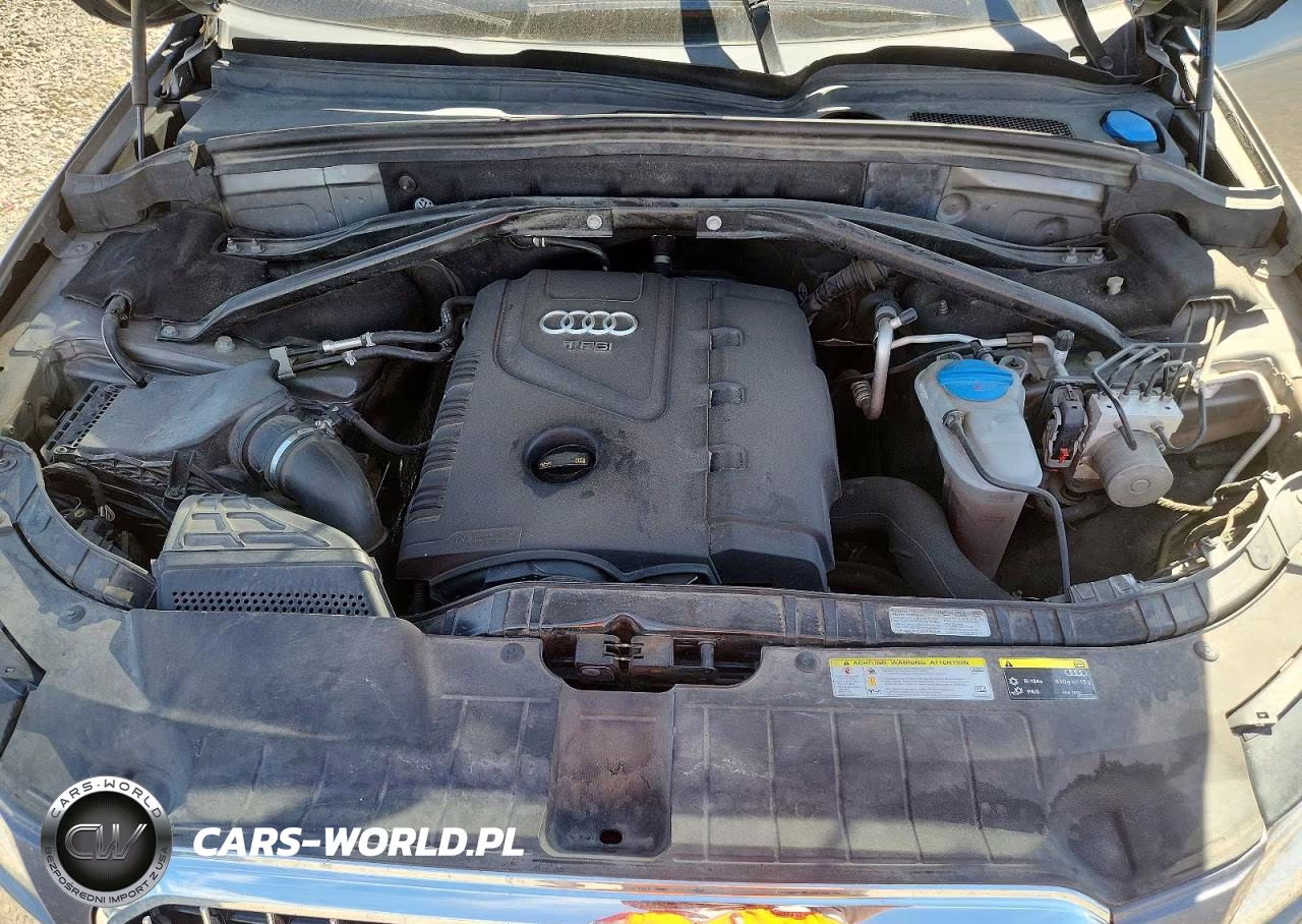 2013 Audi Q5 Premium Plus VIN:WA1LFAFP0DA099998 - 11