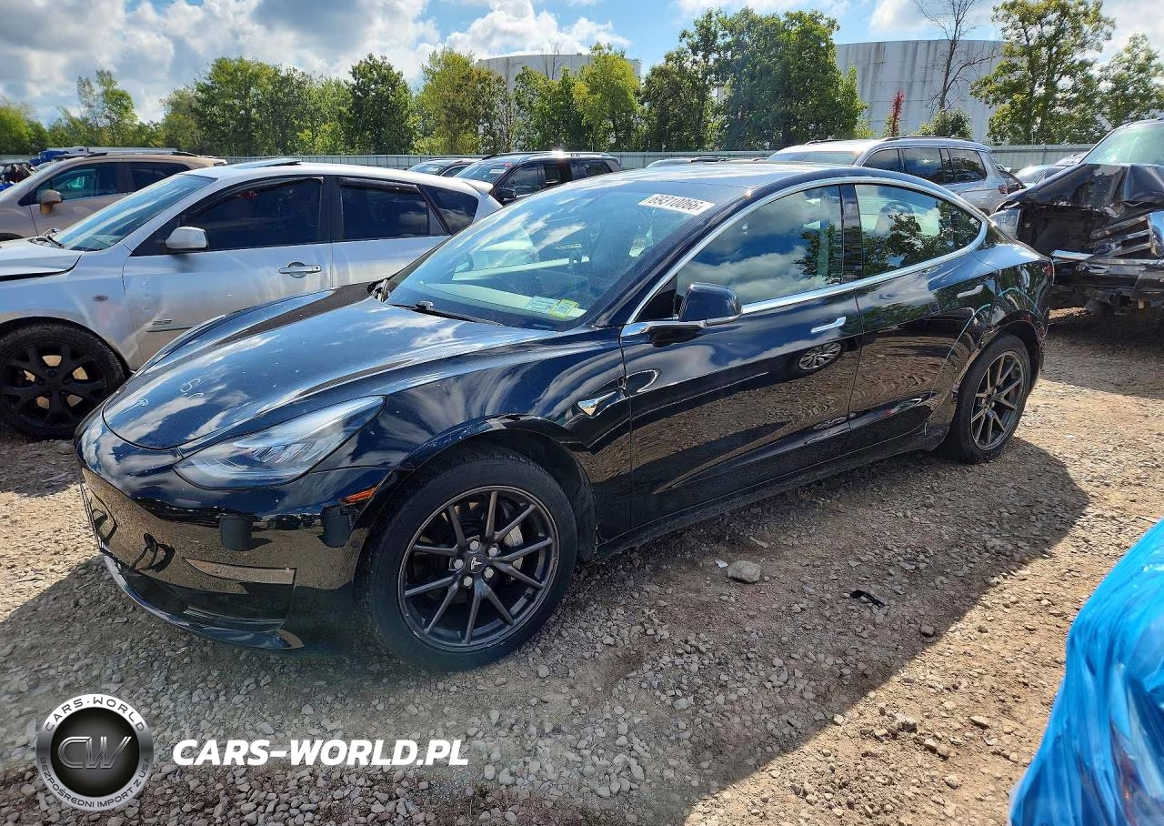 2019 Tesla Model 3